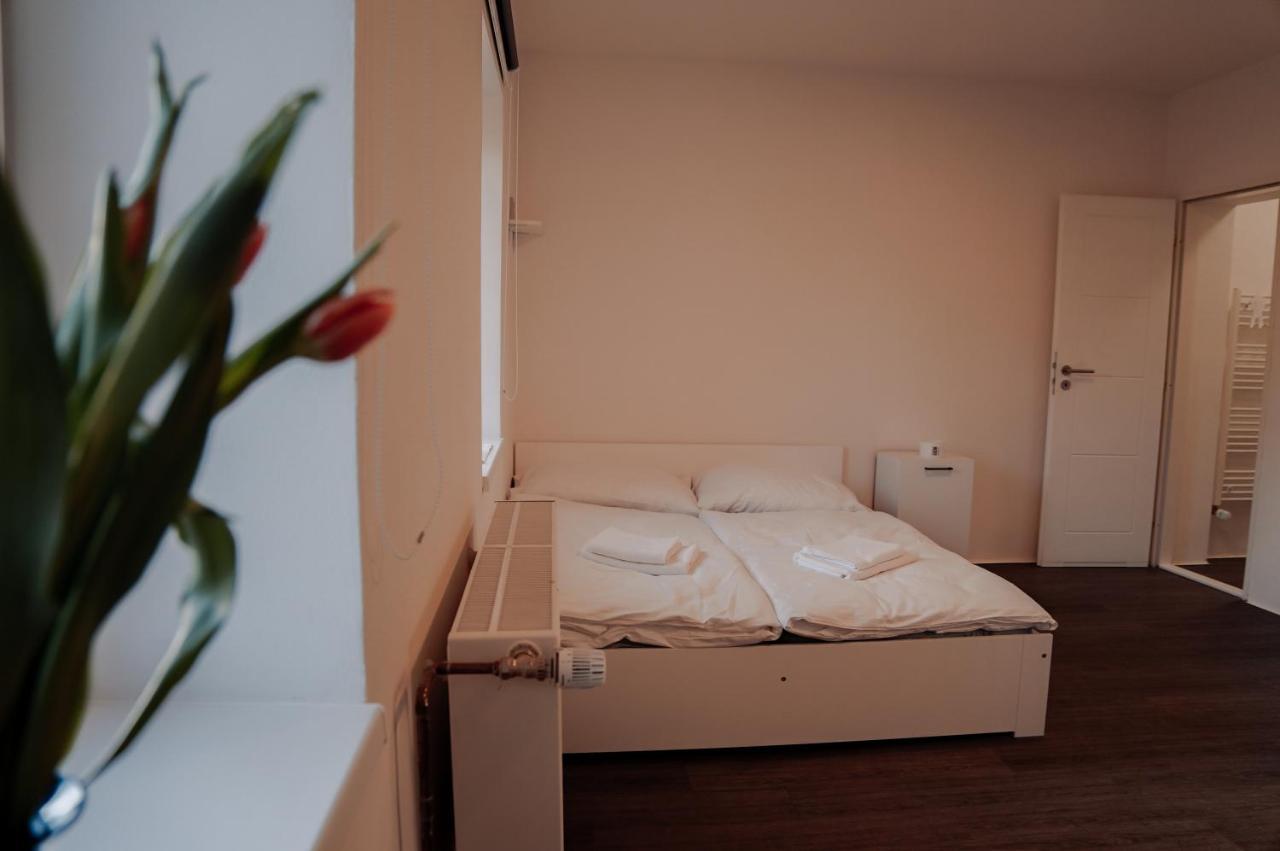 Apartmany Centrum Novy Bor Ngoại thất bức ảnh